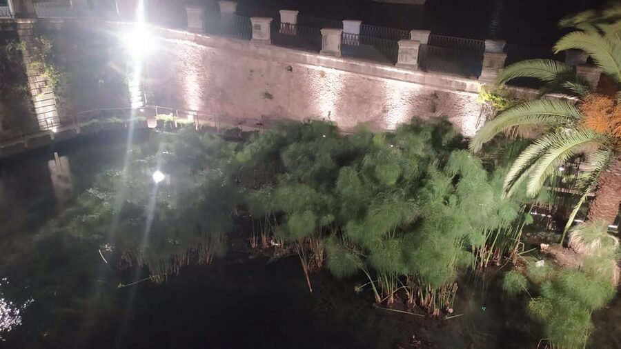 Siracusa Tour: Ortigia by Night in English - Key things to know before you go