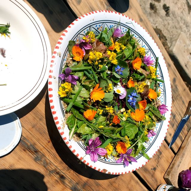 Slowlife Family Farm: From Garden to Table - What the Four Hours Feel Like