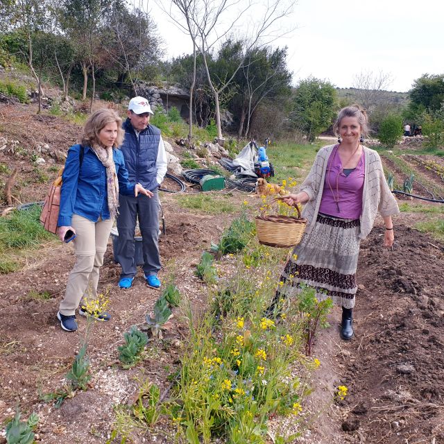 Slowlife Family Farm: From Garden to Table - Is the $164.26 Price Fair?