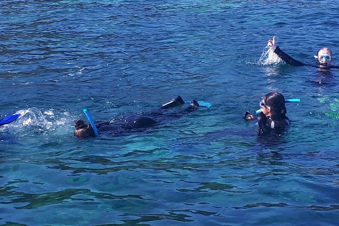 Snorkeling - Who will enjoy this Taormina outing