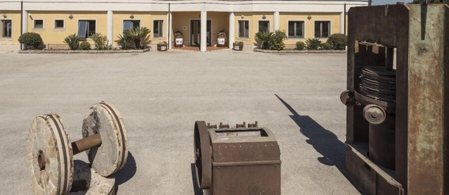 Sortino: Olive Oil tasting with Sicilian Products and Wine - Why an oil mill in Sortino makes sense