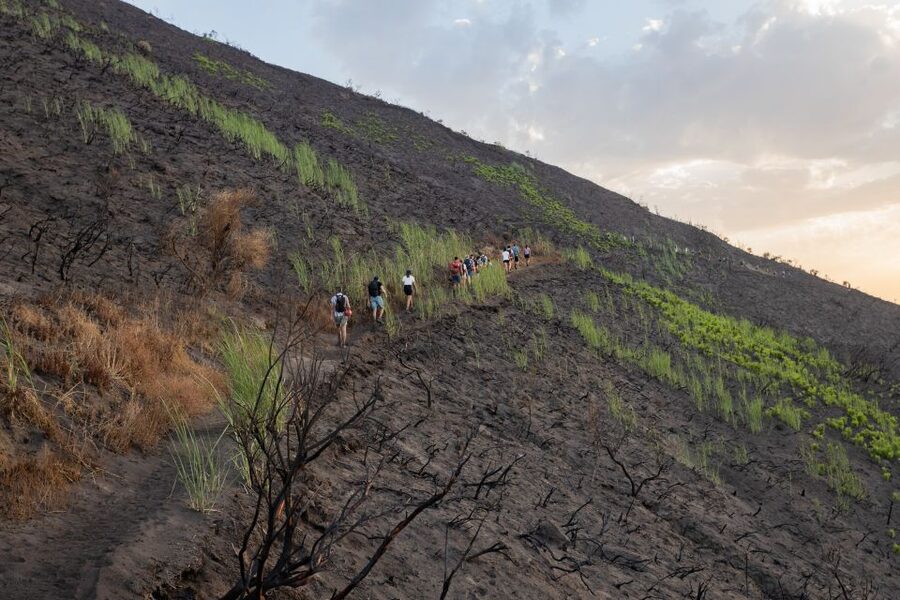 Stromboli: Sunset Trekking at Sciara del Fuoco - Who should book this Stromboli hike?