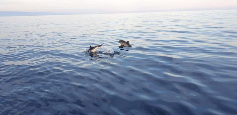Sunset tour in search of dolphins with aperitif - Faraglioni, Capo Taormina, and the Isola Bella view