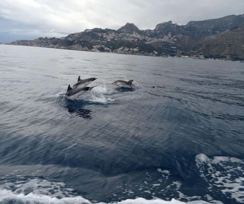 Sunset tour in search of dolphins with aperitif - Music, prosecco, and the ride back