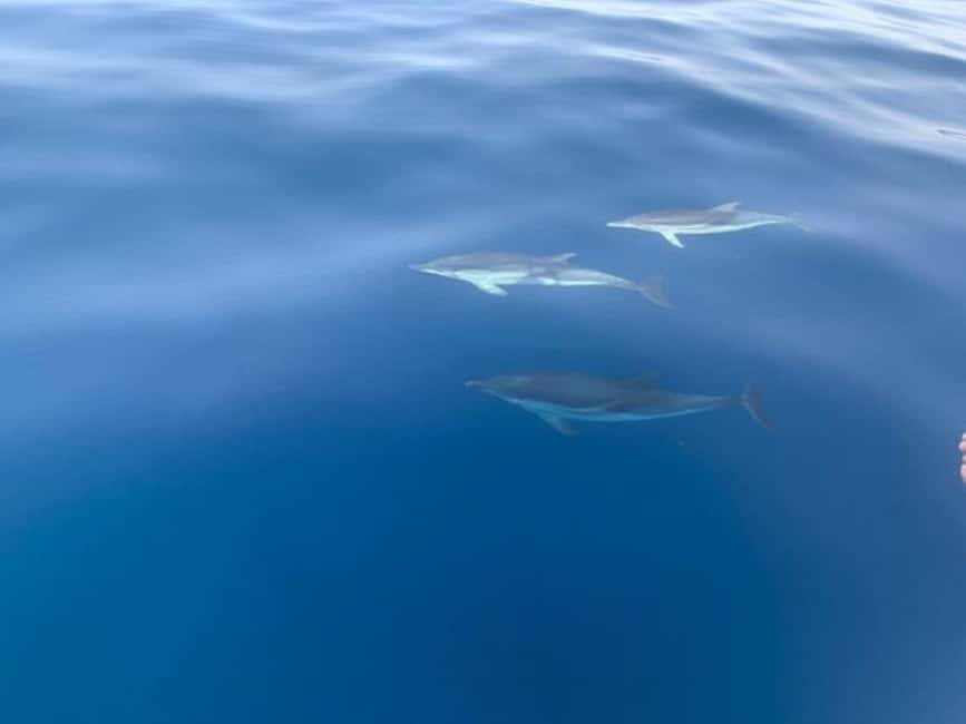 Sunset tour in search of dolphins with aperitif - Leaving Naxos Bay beneath Mount Etna
