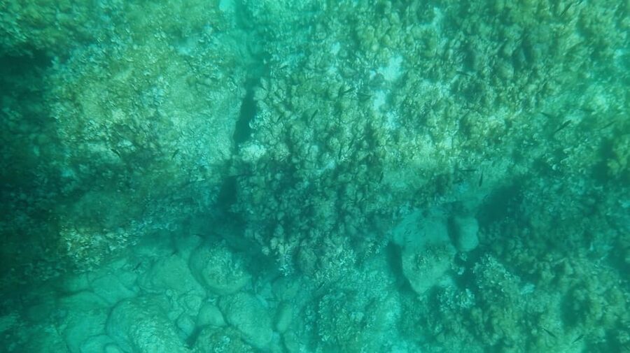 Syracuse: Coast and Sea Caves Full Transparent Boat Tour - Seeing Siracusa through a transparent floor