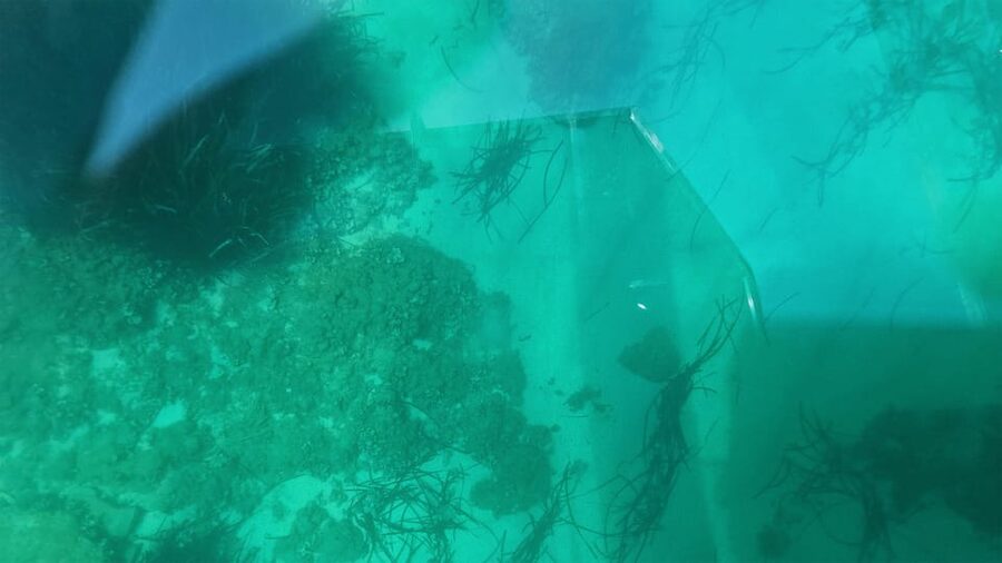 Syracuse: Coast and Sea Caves Full Transparent Boat Tour - Guides who make a short trip work