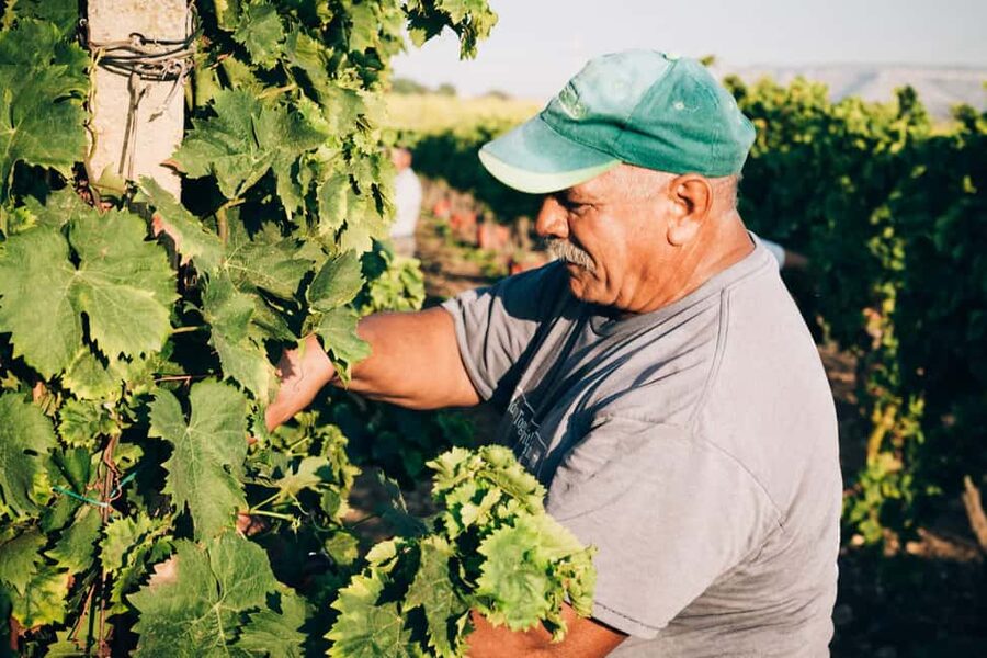Syracuse: Exclusive Sicilian Wine Tasting Experience - A historic estate outside Syracuse