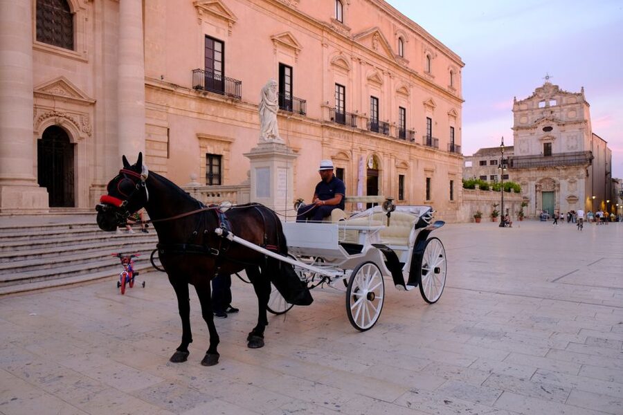 Syracuse: Highlights of Ortigia Guided Walking Tour - Arethusa Spring, where myth meets the sea