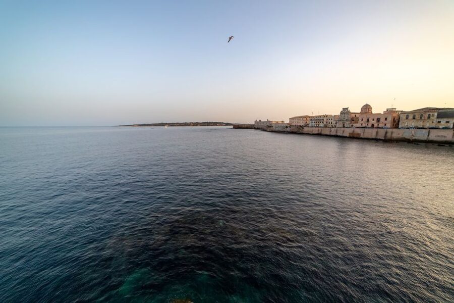 Syracuse: Highlights of Ortigia Guided Walking Tour - The guides are the main reason to go