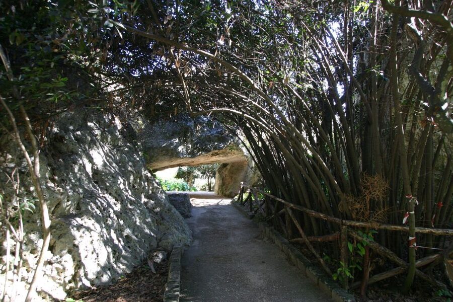 Syracuse: Neapolis Archaeological Park Small Group Tour - Why Neapolis is worth your time