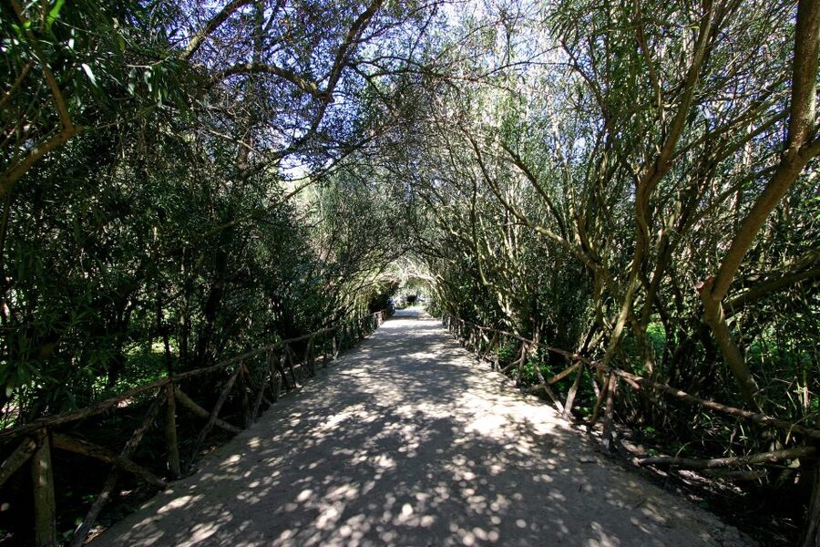 Syracuse: Neapolis Archaeological Park Small Group Tour - The Ear of Dionysius and its strange acoustics