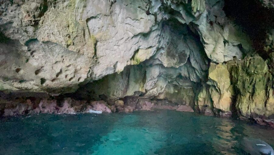 Syracuse: Ortigia Boat Trip with Caves and Pillirina - Castello Maniace and Arethusa Spring from the water