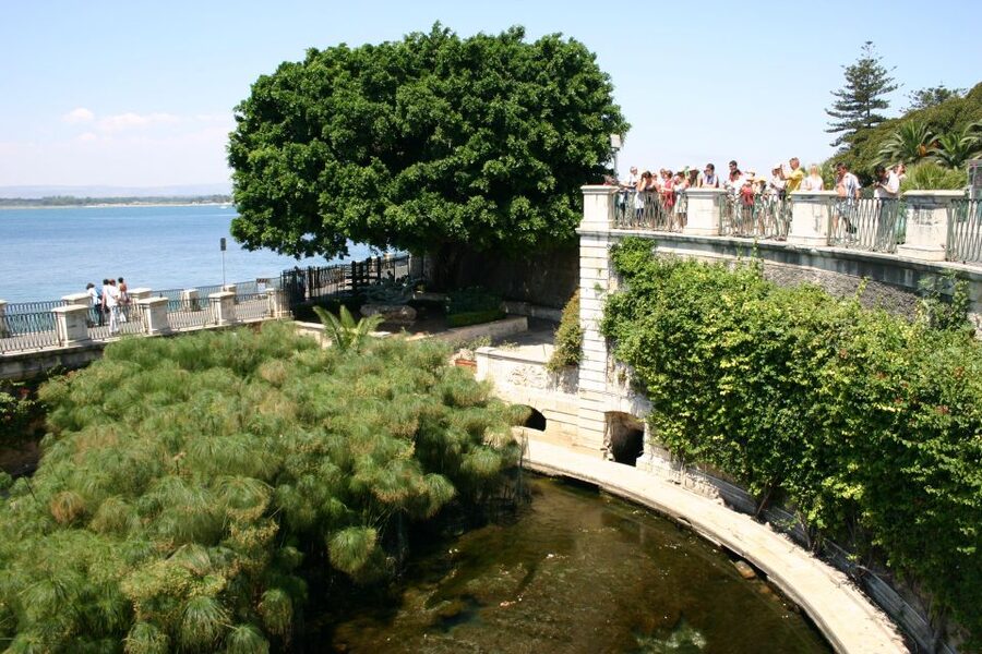 Syracuse: Ortigia Classic Walking Tour - Starting at the Temple of Apollo