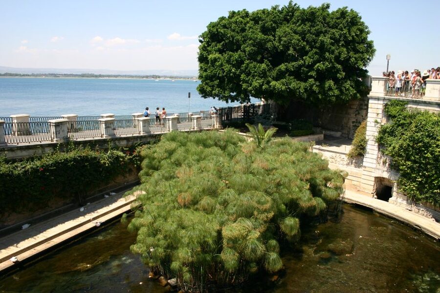 Syracuse: Ortigia Private Walking Tour - Guide style and what to expect