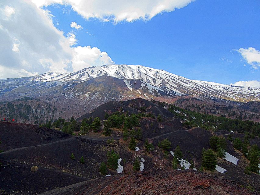 Taormina and Catania: Private Etna Exploration and Cave Tour - A guide who adds meaning to the scenery