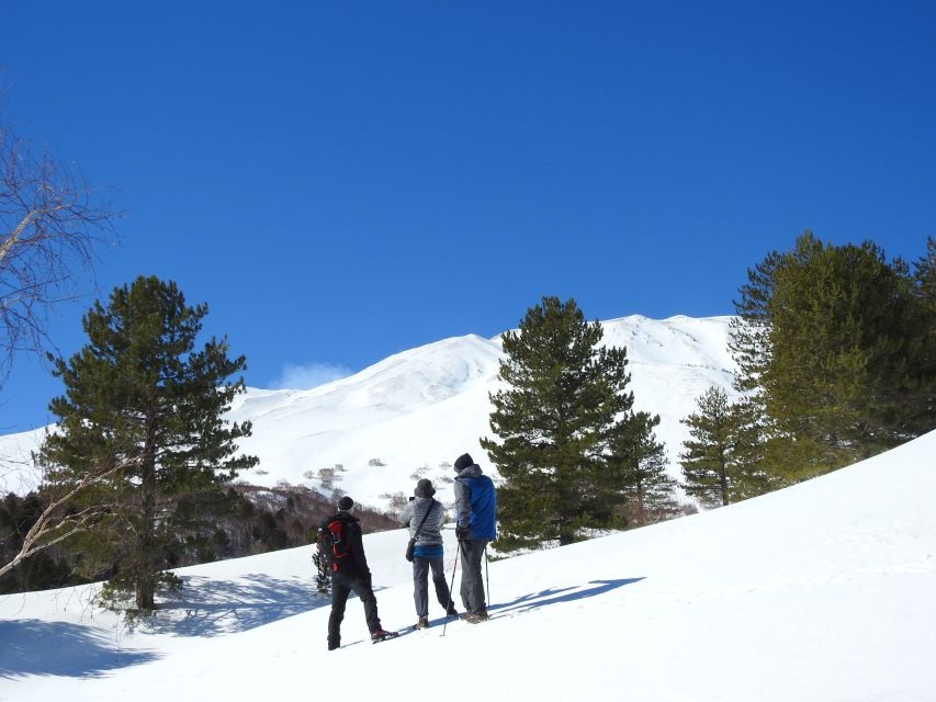 Taormina and Catania: Private Etna Exploration and Cave Tour - Private value at $509.78 for up to two people