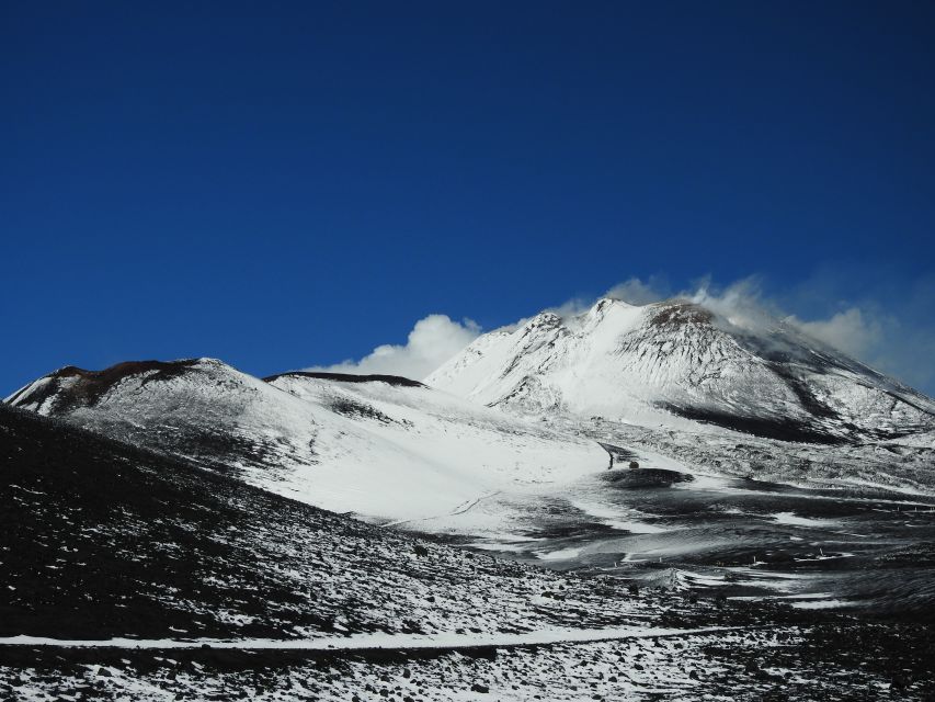 Taormina and Catania: Private guided Etna hike by cable car - Who should book this private Etna hike?