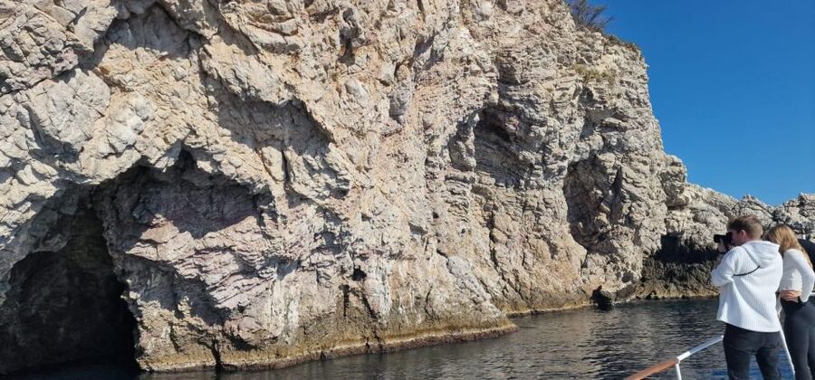 Taormina Coast Tour and Searching Dolphins - Why the Taormina coast is better from a boat