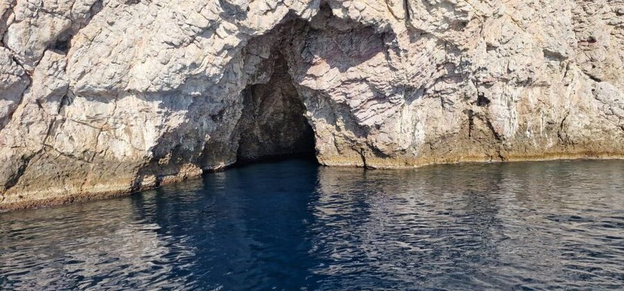 Taormina Coast Tour and Searching Dolphins - Isola Bella brings the best pause