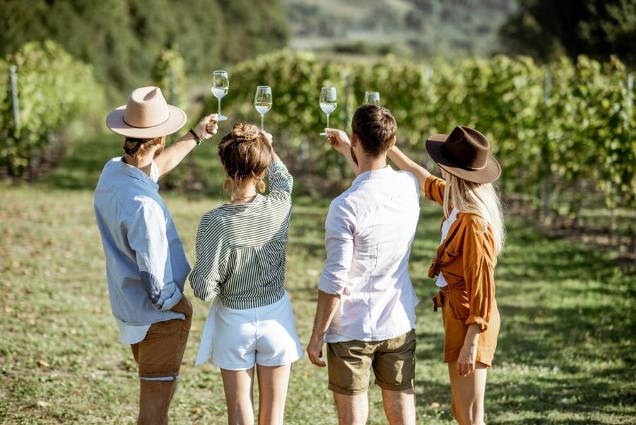 Taormina: Guided Etna Wine Tasting Half-Day Tour - Why Etna wine makes this tour different