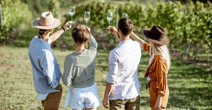 Taormina: Guided Etna Wine Tasting Half-Day Tour - Passing Fiumefreddo, Piedimonte, and Linguaglossa