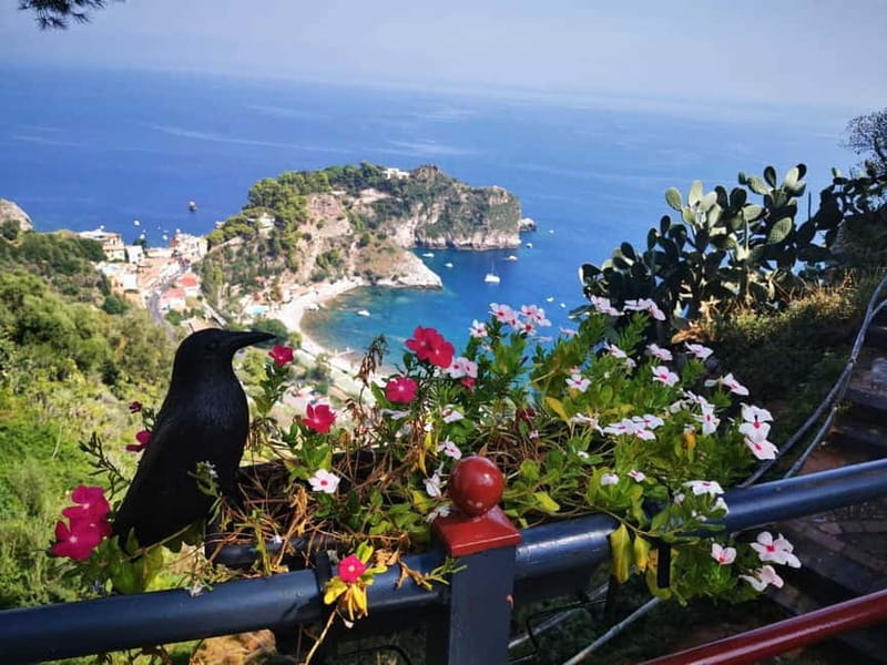 Taormina: Guided Walking Tour - Is $317.20 a fair price?
