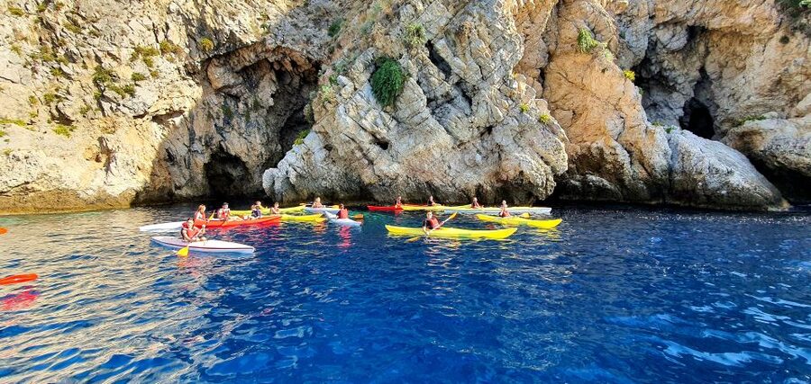Taormina: Kayak Coastal Tour to Isola Bella and Blue Grotto - Dolphins, Clear Water, and What You Cannot Count On
