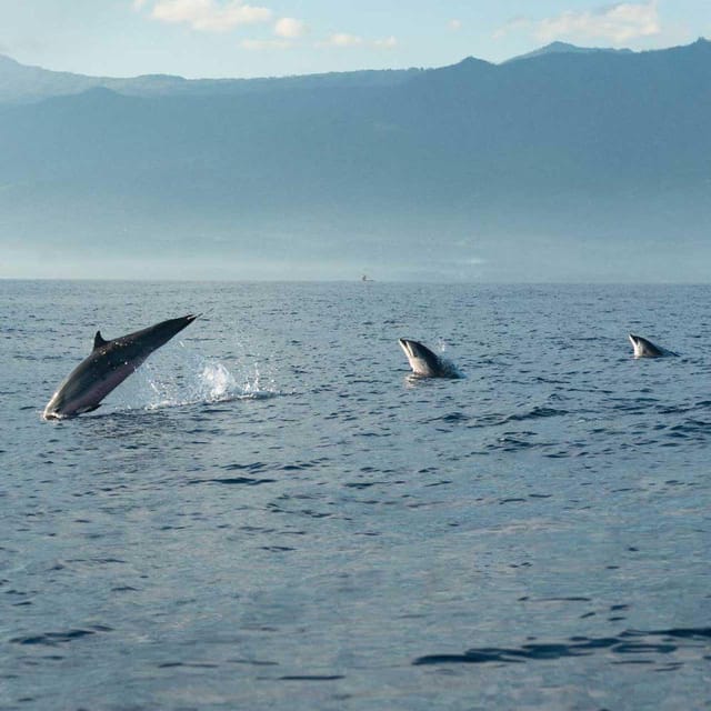 Taormina: Private Boat Tour with aperitif - Aperitif aboard a comfortable cabin boat