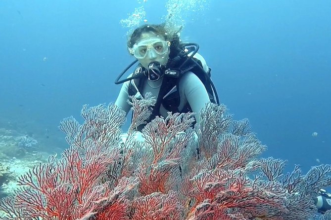 Taormina Scuba Diving Experience - Who will get the most from this outing