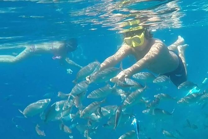 Taormina snorkeling experience - Equipment, swimming, and comfort