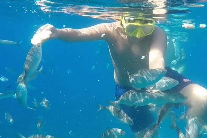 Taormina snorkeling experience - Key details to know before you book