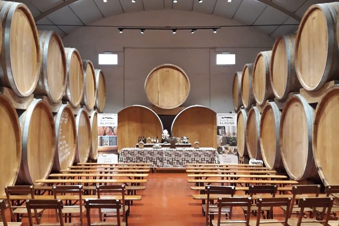 Tasting in the historic cellar of Marsala - Fourteen wines and a buffet of Sicilian bites