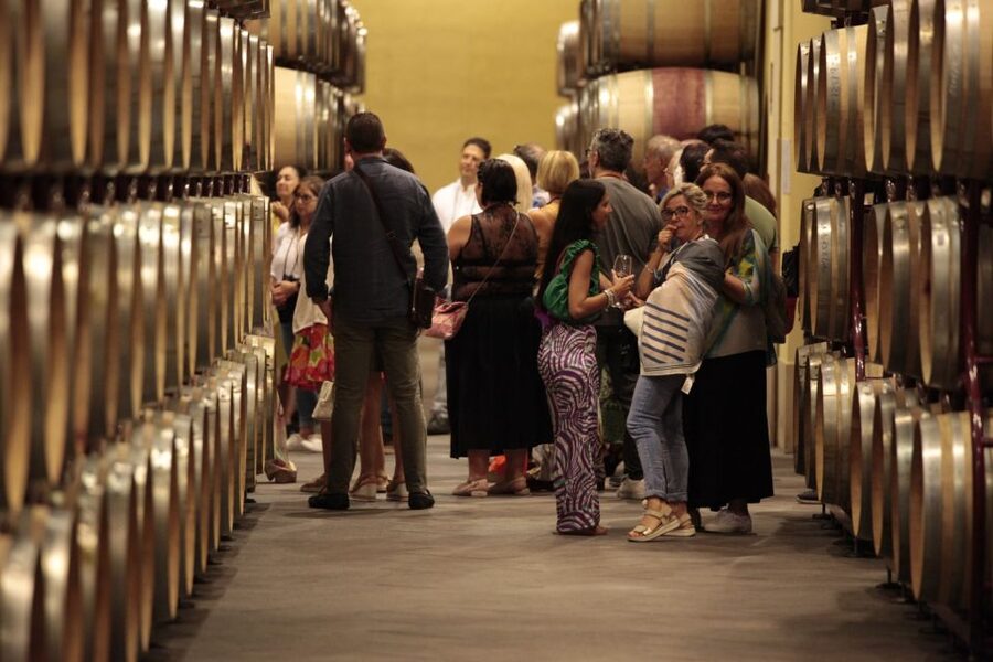 Tour and Premium wine tasting at Duca di Salaparuta - What $57 buys you