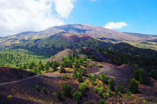 Tour Etna & Wine Tasting Private - From volcanic ground to Etna vineyards