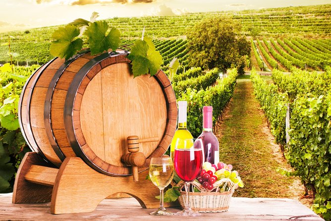 Tour Etna & Wine Tasting Private - Who will enjoy this Etna day?