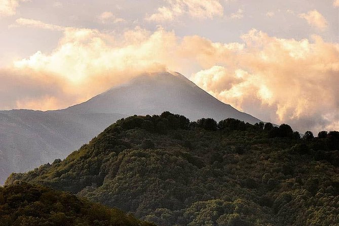 Tour Etna & Wine Tasting - Piano Provenzana and the northern face of Etna
