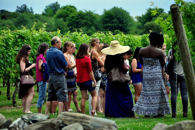 Tour of the Etna cellars, typical lunch and wine tasting - Weather, clothing, and practical expectations