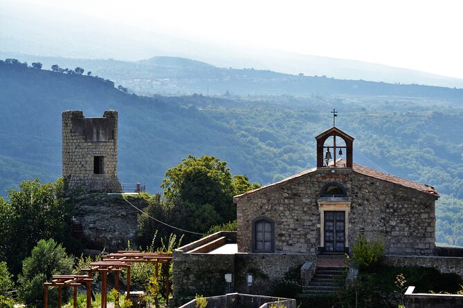 Tour of the Etna cellars, typical lunch and wine tasting - Who will enjoy this Etna wine tour most