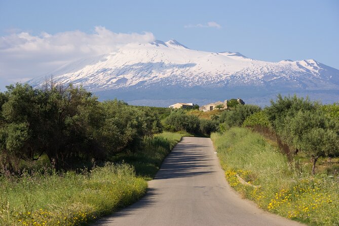 Tour of the Etna cellars, typical lunch and wine tasting - Castiglione di Sicilia, views and Sicilian sweets
