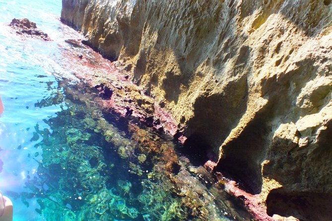 Tour of the island of Ortigia and exploration of sea caves with baths. - Who will enjoy this boat tour?