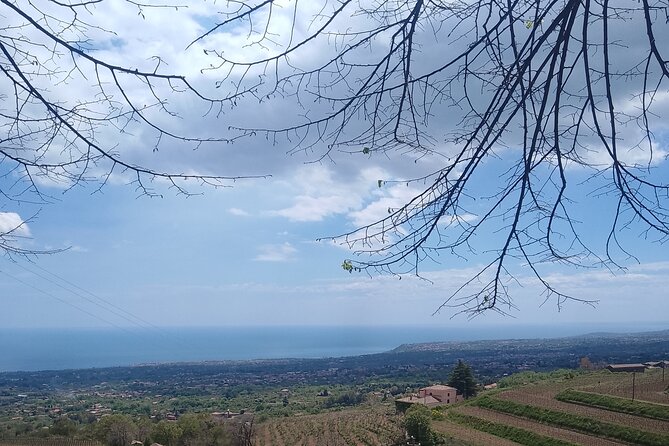 Tour two wineries of Etna wine tasting and lunch - What private transportation changes