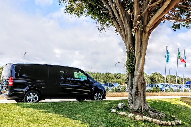TRANSFER from Catania (wherever) to Pozzallo Port (or vice versa) - What the vehicle is like for a 90-minute ride