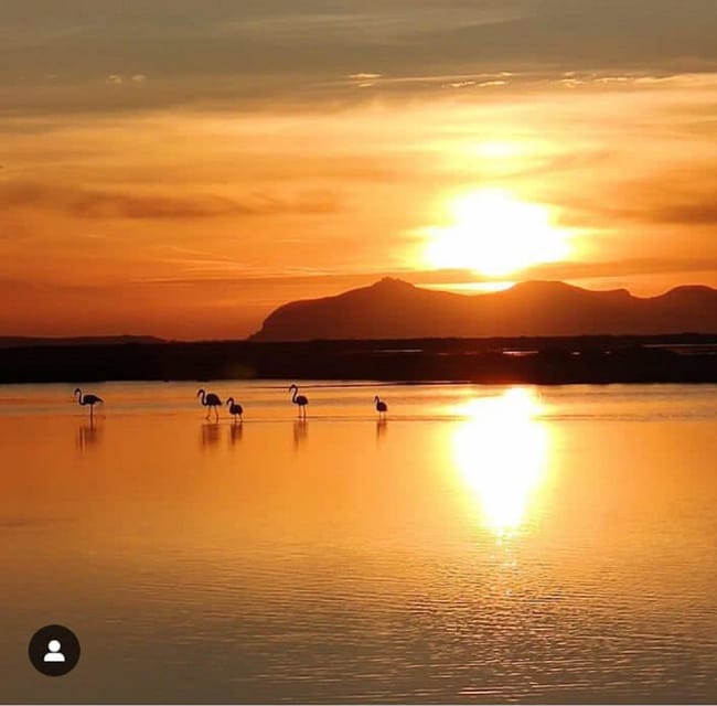 Trapani: Salt Pans Sunset Tour and Flamingo Way - First views: salt basins, birds, and white piles