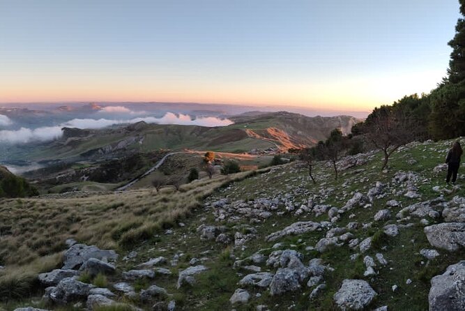 Truffle hunting in the Sicani mountains: a unique experience in Sicily - Helping uncover black and white truffles