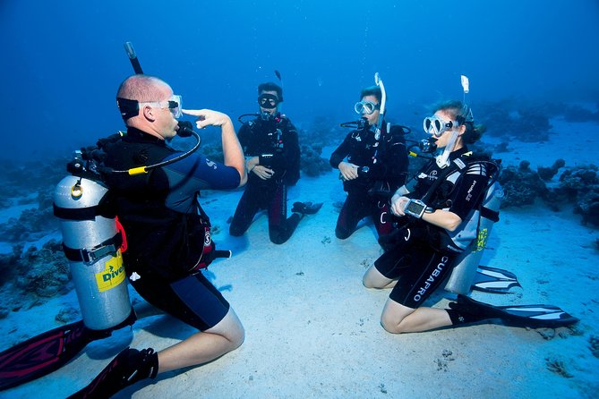 Try Scuba Dive (baptism of the sea) - Why the underwater lava makes this Aci Castello experience special