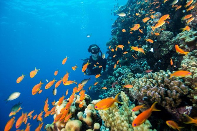 Try Scuba Dive (baptism of the sea) - What makes the center comfortable after the session