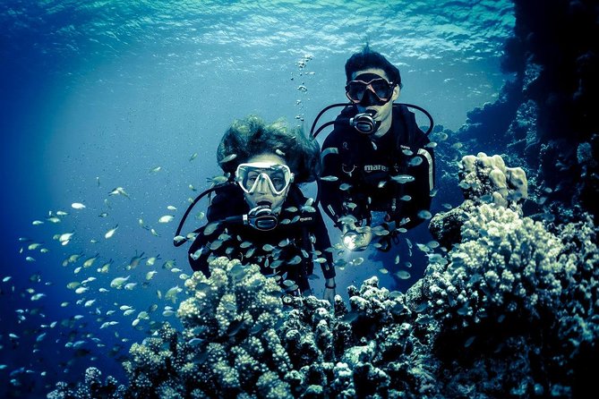 Try Scuba Dive (baptism of the sea) - Who will enjoy this experience most