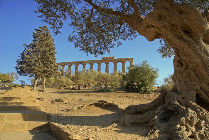 Valley of the Temples and Villa Romana del Casale Day Trip from Taormina - Villa Romana del Casale and its extraordinary floors