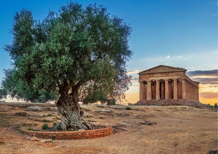 Valley of the Temples and Villa Romana Multi-Language Tour - What the $138.21 price really covers